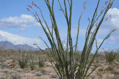 G12 S Rainbow Road, Yucca, AZ 86438 - Photo 68