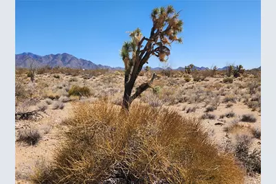 Lot 357 E Adobe Drive #13/6, Yucca, AZ 86438 - Photo 2