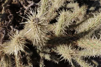 306-07-146B S Higley Road, Golden Valley, AZ 86413 - Photo 8