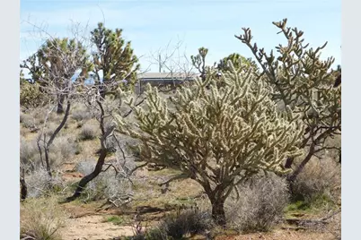 Lot 53 N Saddle Drive, Dolan Springs, AZ 86441 - Photo 16