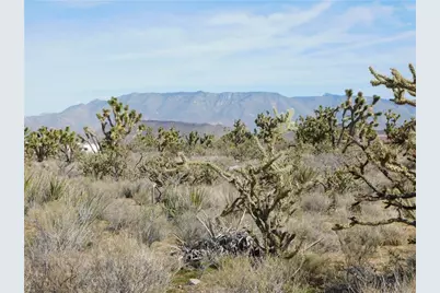 Lot 53 N Saddle Drive, Dolan Springs, AZ 86441 - Photo 12