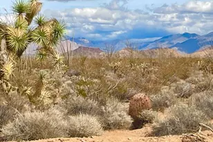 3240 S Wild Bill Rd, Yucca, AZ 86438 - Photo 1