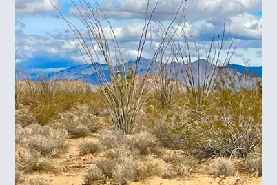242-09-014 S Wild Bill Road, Yucca, AZ 86438 - Photo 2