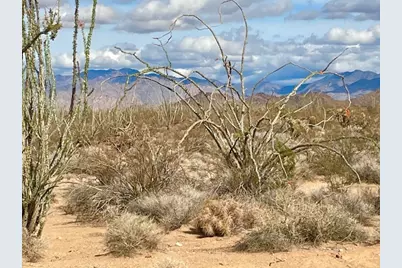 242-09-014 S Wild Bill Road, Yucca, AZ 86438 - Photo 6