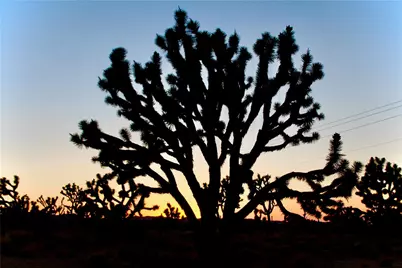 26491 N Pear Avenue, Meadview, AZ 86444 - Photo 40