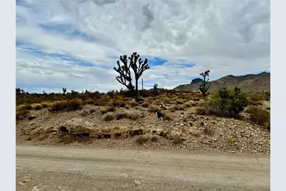 319-13-356 Kingman Drive, Dolan Springs, AZ 86441 - Photo 2