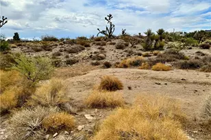 319-13-356 Kingman Dr, Dolan Springs, AZ 86441 - Photo 1