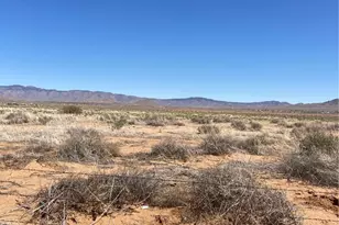 000 W Cataract, Meadview, AZ 86444 - Photo 1