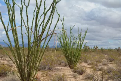 Lot 168/169 S Cherry Road, Yucca, AZ 86438 - Photo 68