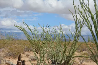 Lot 168/169 S Cherry Road, Yucca, AZ 86438 - Photo 50