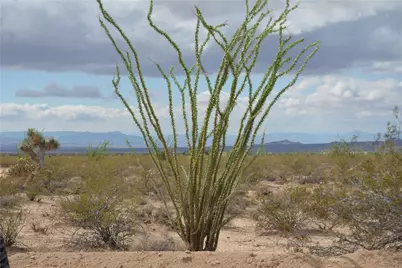 Lot 168/169 S Cherry Road, Yucca, AZ 86438 - Photo 58