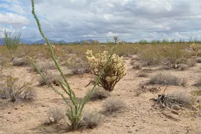 207-17-169A S Cherry Road, Yucca, AZ 86438 - Photo 66