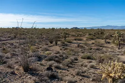 Lot 6 E Sandy Drive, Yucca, AZ 86438 - Photo 24