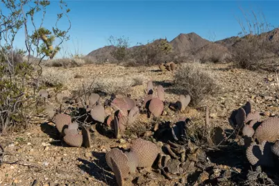 Lot 6 E Sandy Drive, Yucca, AZ 86438 - Photo 22