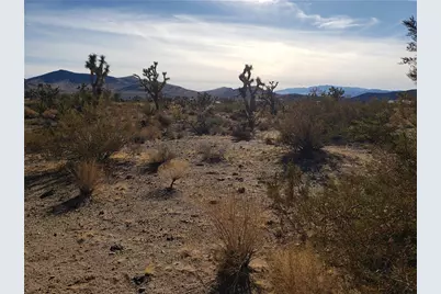 20576 N Golden Arrow Avenue, White Hills, AZ 86445 - Photo 1