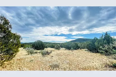 320 Acres Cross Mountain Trout Creek, Seligman, AZ 86337 - Photo 12
