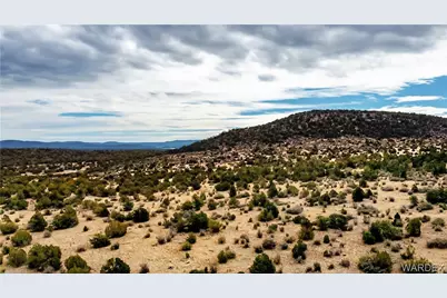 320 Acres Cross Mountain Trout Creek, Seligman, AZ 86337 - Photo 14