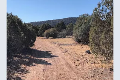 320 Acres Cross Mountain Trout Creek, Seligman, AZ 86337 - Photo 42