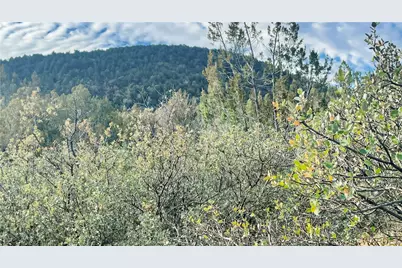 320 Acres Cross Mountain Trout Creek, Seligman, AZ 86337 - Photo 6