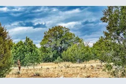 320 Acres Cross Mountain Trout Creek, Seligman, AZ 86337 - Photo 1
