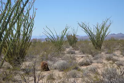 Lot 199 S Cortaro Road, Yucca, AZ 86438 - Photo 10