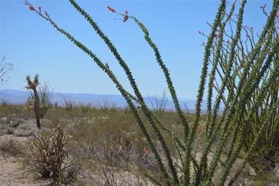 Lot 199 S Cortaro Road, Yucca, AZ 86438 - Photo 18