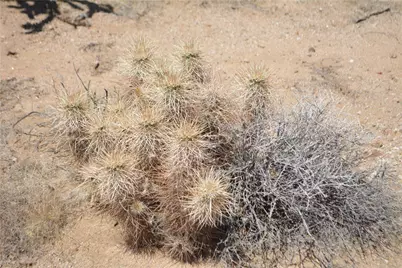 Lot 199 S Cortaro Road, Yucca, AZ 86438 - Photo 26