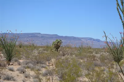 Lot 199 S Cortaro Road, Yucca, AZ 86438 - Photo 4