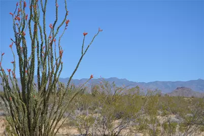 Lot 199 S Cortaro Road, Yucca, AZ 86438 - Photo 8