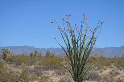 Lot 199 S Cortaro Road, Yucca, AZ 86438 - Photo 22
