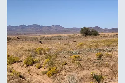 007B Berry Road, Kingman, AZ 86409 - Photo 4