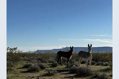 209-04-165 S Casa Grande Trail, Golden Valley, AZ 86413 - Photo 2