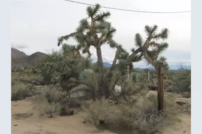 11690 S Sherry Road, Yucca, AZ 86438 - Photo 1