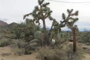 11690 S Sherry Rd, Yucca, AZ 86438 - Photo 1