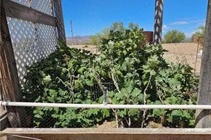 16839 S Douglas Ln, Yucca, AZ 86438 - Photo 76