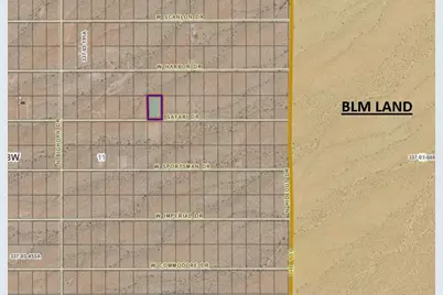 337-03-250 Safari Drive, Meadview, AZ 86444 - Photo 4