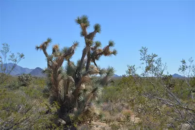 2279 E Margaret Road, Yucca, AZ 86438 - Photo 88