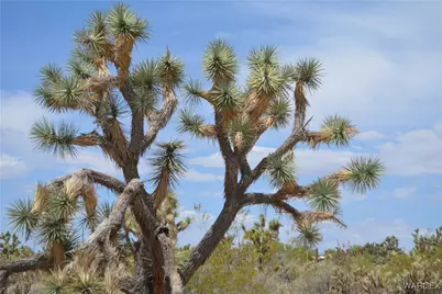 2279 E Margaret Road, Yucca, AZ 86438 - Photo 20