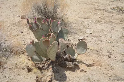 2279 E Margaret Road, Yucca, AZ 86438 - Photo 50