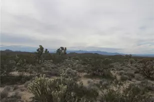 245-06-003F S Cal Rd, Yucca, AZ 86438 - Photo 1