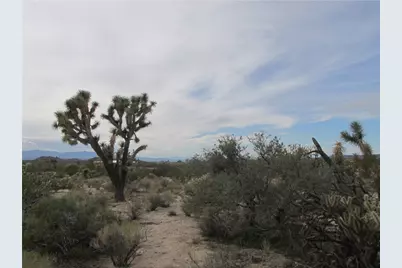 245-06-003F S Cal Road, Yucca, AZ 86438 - Photo 4