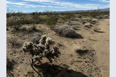 0 N Glenwood Drive, Dolan Springs, AZ 86441 - Photo 2