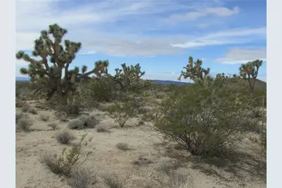 0 S Ernest Drive, Yucca, AZ 86438 - Photo 10