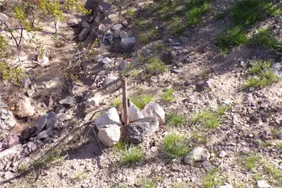 Lot 13 S Canelo, Golden Valley, AZ 86413 - Photo 32