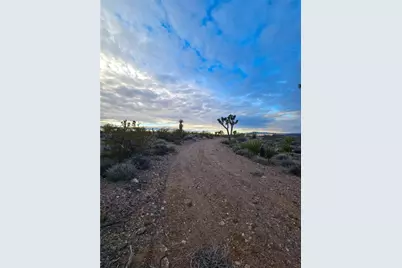 8096 W Bodega Drive, White Hills, AZ 86445 - Photo 10