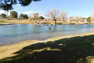 2827 Country Club Dr, Bullhead City, AZ 86442 - Photo 24