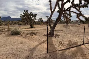 18209 Orchid Dr, Dolan Springs, AZ 86441 - Photo 42