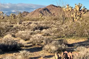 241-16-013 S John Wayne Rd Rd, Yucca, AZ 86438 - Photo 1