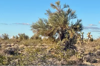 241-16-013 S John Wayne Rd Road, Yucca, AZ 86438 - Photo 2