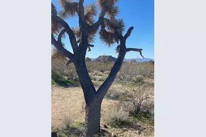 8 E Mary Drive, Yucca, AZ 86438 - Photo 10